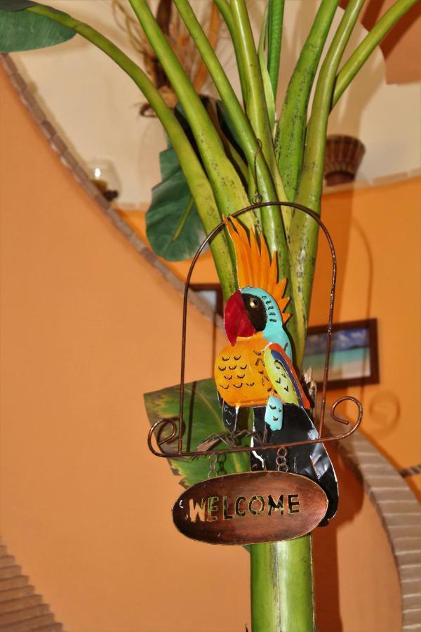 Antigua B&B Porto Potenza Picena Extérieur photo